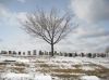 Mount Hope Cemetery Toronto Ontario.JPG